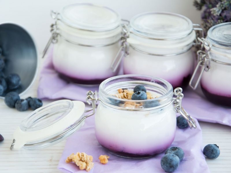 Yogurt ai mirtilli senza glutine fatto in casa con Bimby TM6